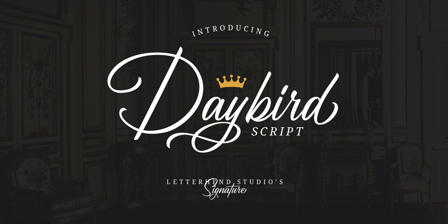Example font Daybird Script #1